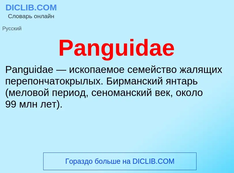 ¿Qué es Panguidae? - significado y definición