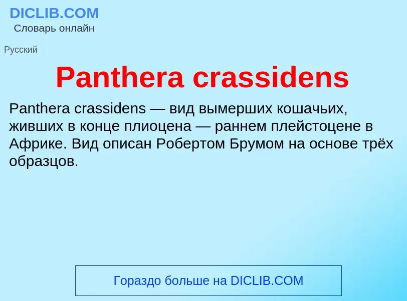 ¿Qué es Panthera crassidens? - significado y definición