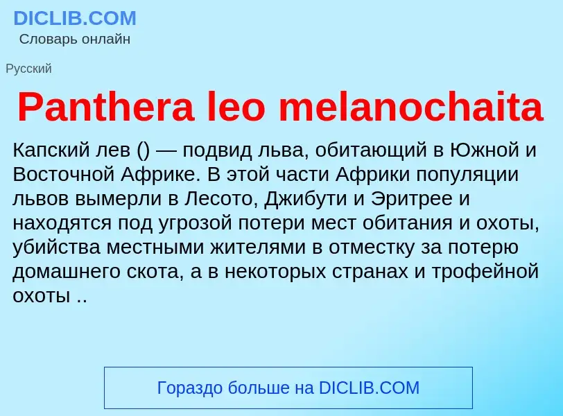 Что такое Panthera leo melanochaita - определение