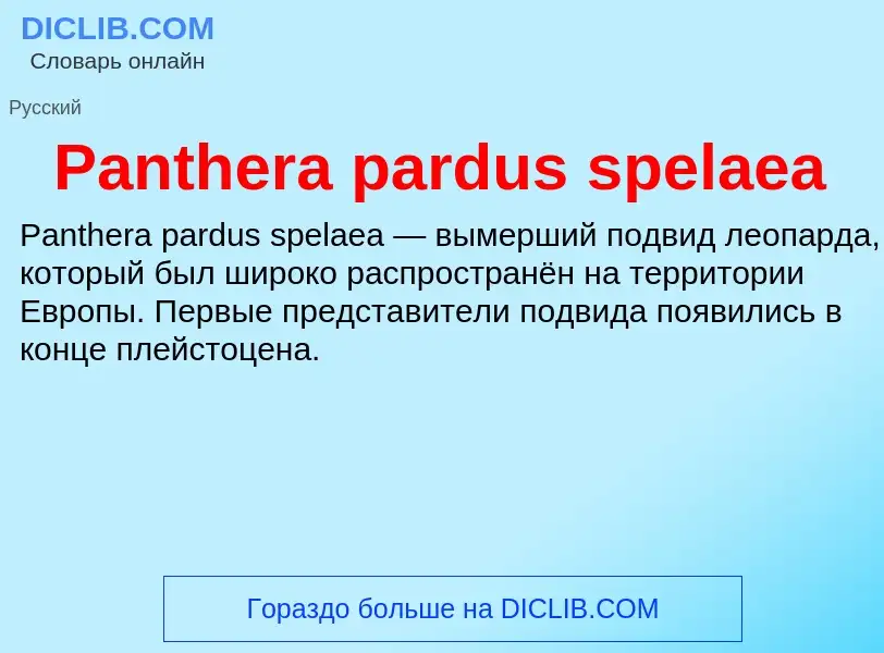 Что такое Panthera pardus spelaea - определение