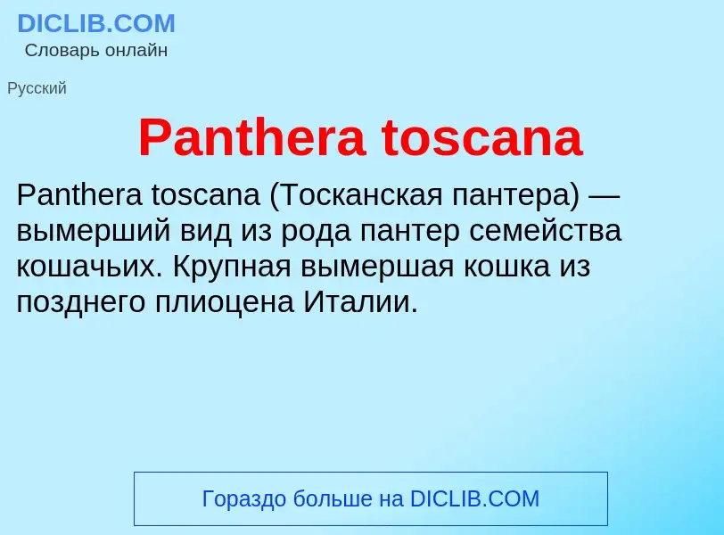 ¿Qué es Panthera toscana? - significado y definición