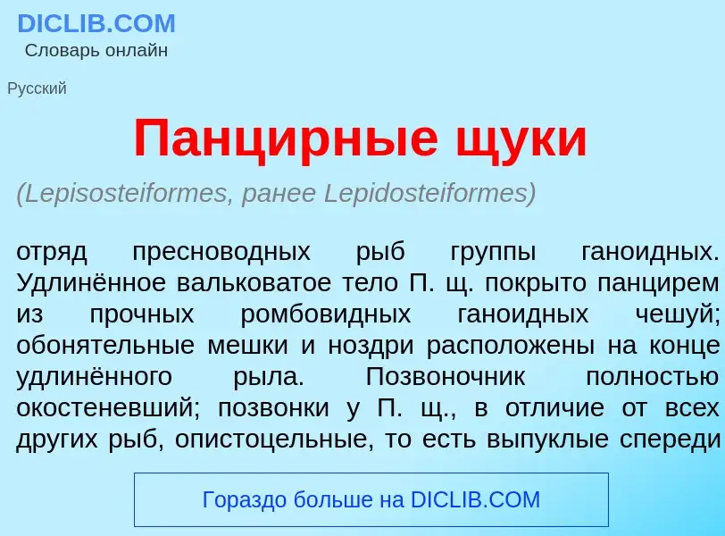 Che cos'è П<font color="red">а</font>нцирные щ<font color="red">у</font>ки - definizione