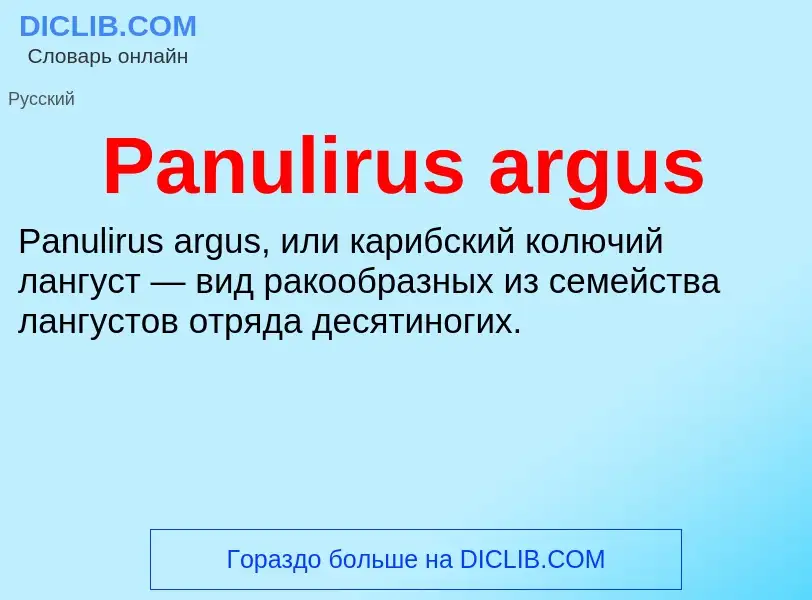 Что такое Panulirus argus - определение