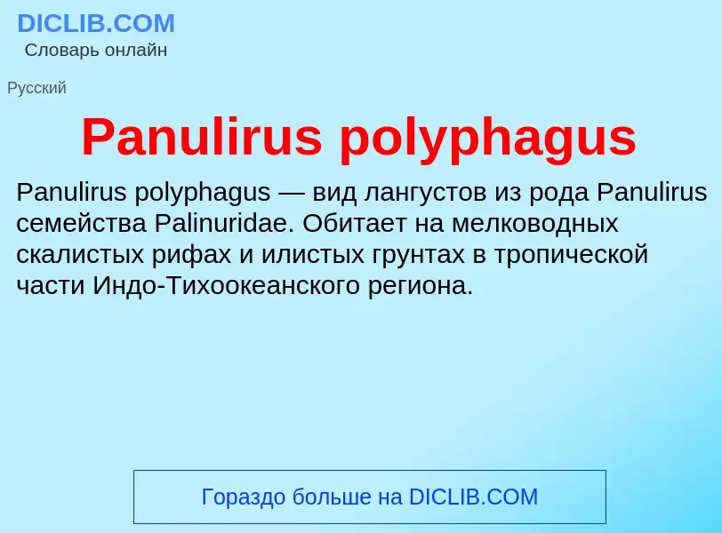 Что такое Panulirus polyphagus - определение