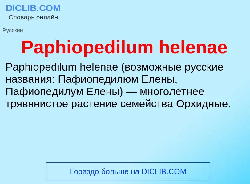 ¿Qué es Paphiopedilum helenae? - significado y definición