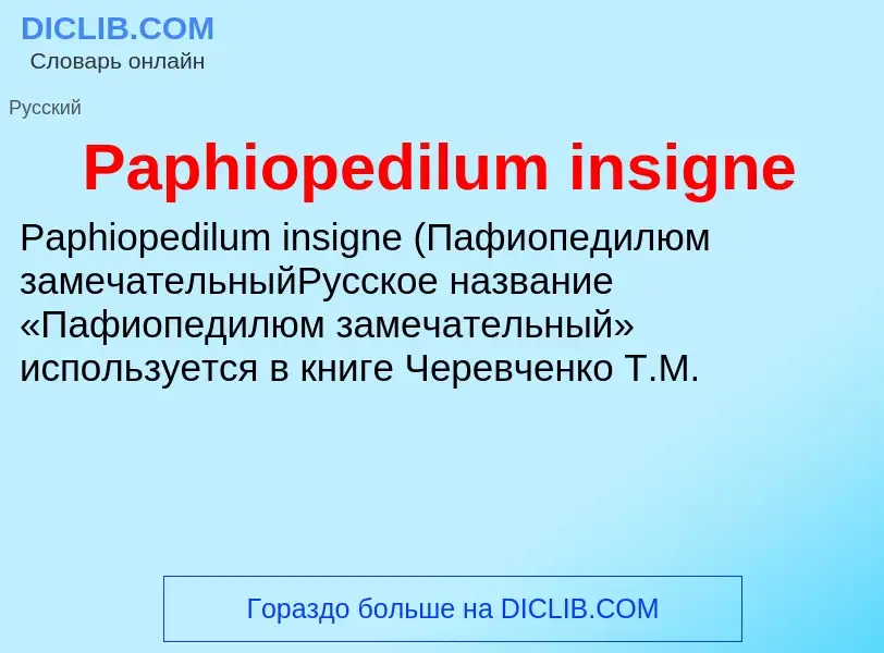 Что такое Paphiopedilum insigne - определение