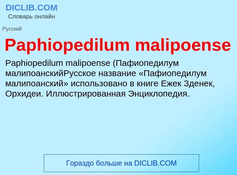 ¿Qué es Paphiopedilum malipoense? - significado y definición