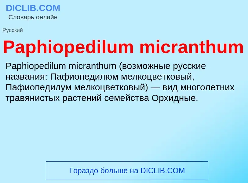 ¿Qué es Paphiopedilum micranthum? - significado y definición