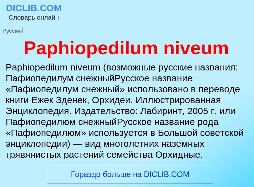 ¿Qué es Paphiopedilum niveum? - significado y definición