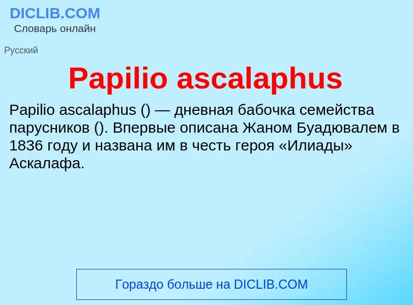 ¿Qué es Papilio ascalaphus? - significado y definición