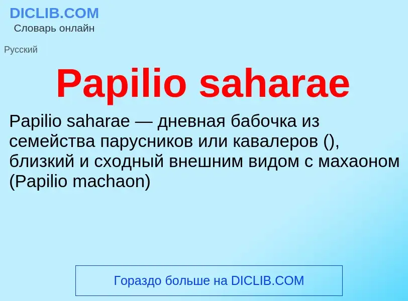 ¿Qué es Papilio saharae? - significado y definición