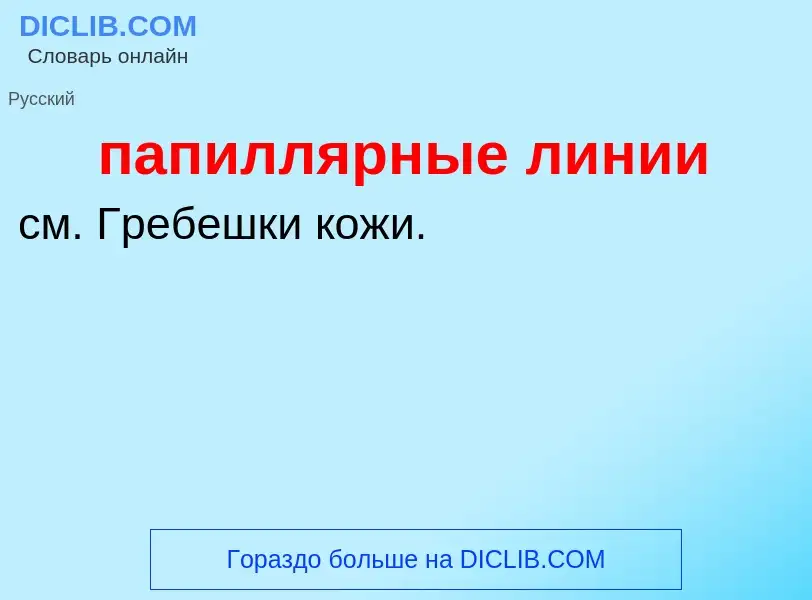 Τι είναι папиллярные линии - ορισμός