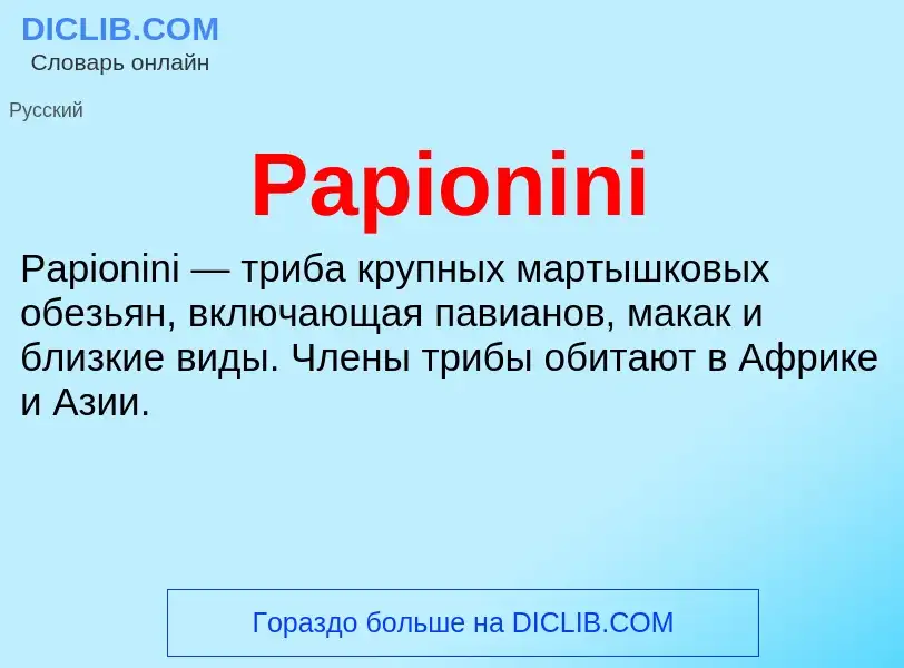 ¿Qué es Papionini? - significado y definición