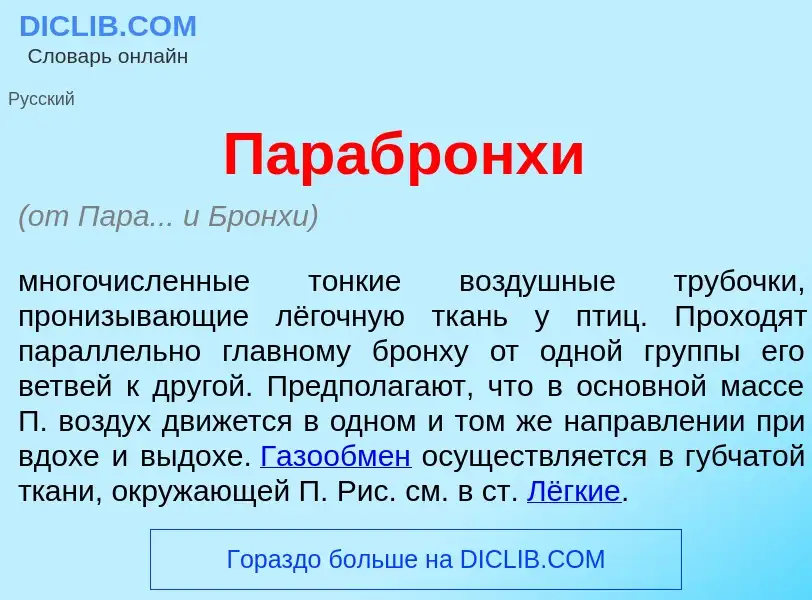 Что такое Парабр<font color="red">о</font>нхи - определение