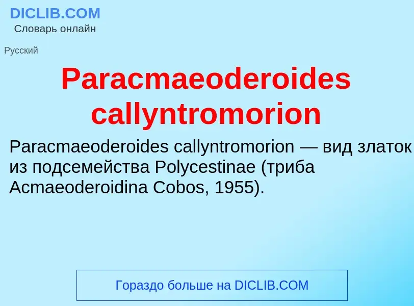 ¿Qué es Paracmaeoderoides callyntromorion? - significado y definición