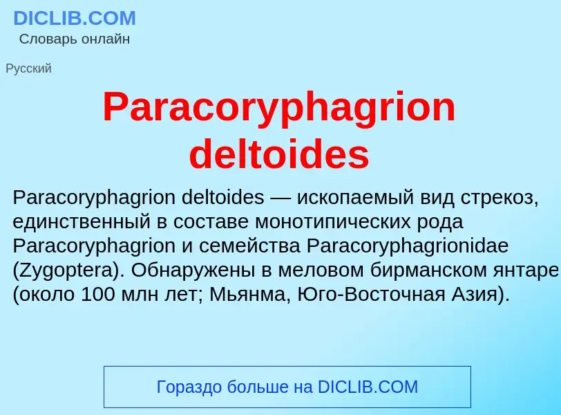 ¿Qué es Paracoryphagrion deltoides? - significado y definición