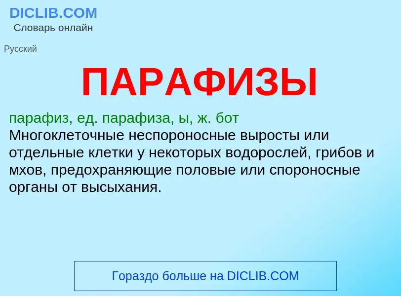 ¿Qué es ПАРАФИЗЫ? - significado y definición