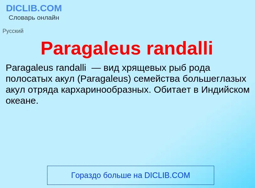 ¿Qué es Paragaleus randalli? - significado y definición