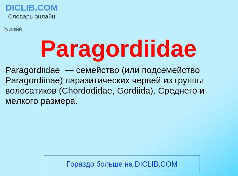 ¿Qué es Paragordiidae? - significado y definición