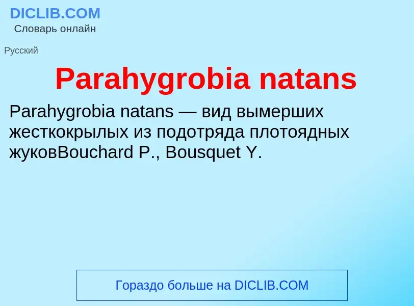 Что такое Parahygrobia natans - определение