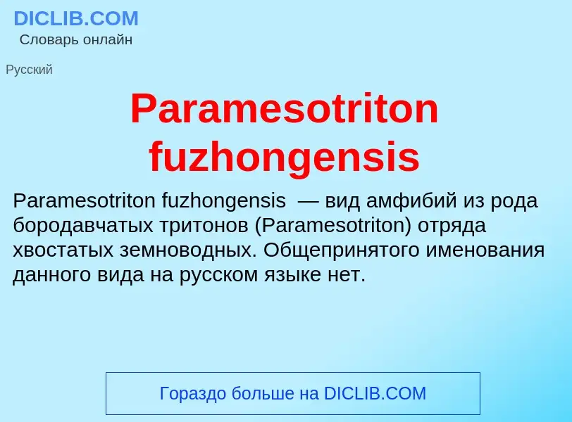 ¿Qué es Paramesotriton fuzhongensis? - significado y definición