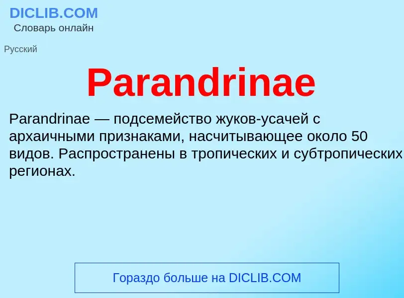 ¿Qué es Parandrinae? - significado y definición