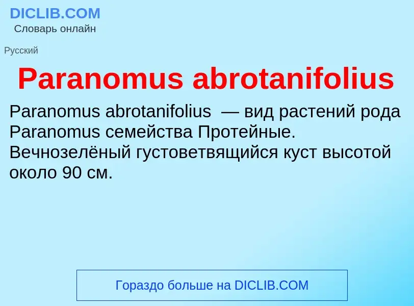 ¿Qué es Paranomus abrotanifolius? - significado y definición