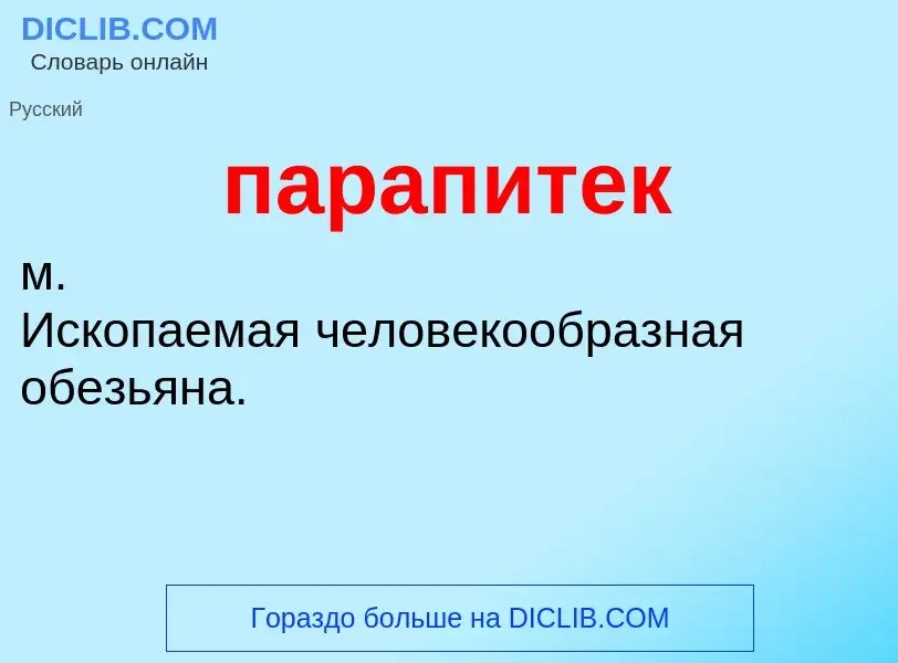 What is парапитек - definition