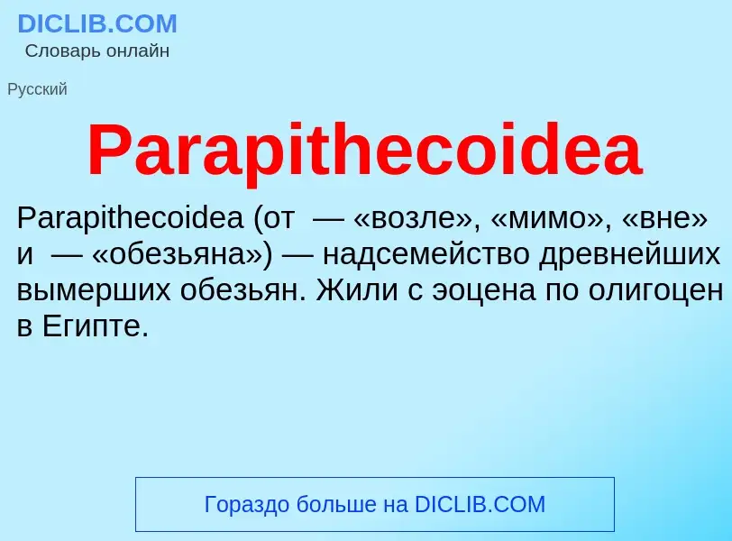 ¿Qué es Parapithecoidea? - significado y definición