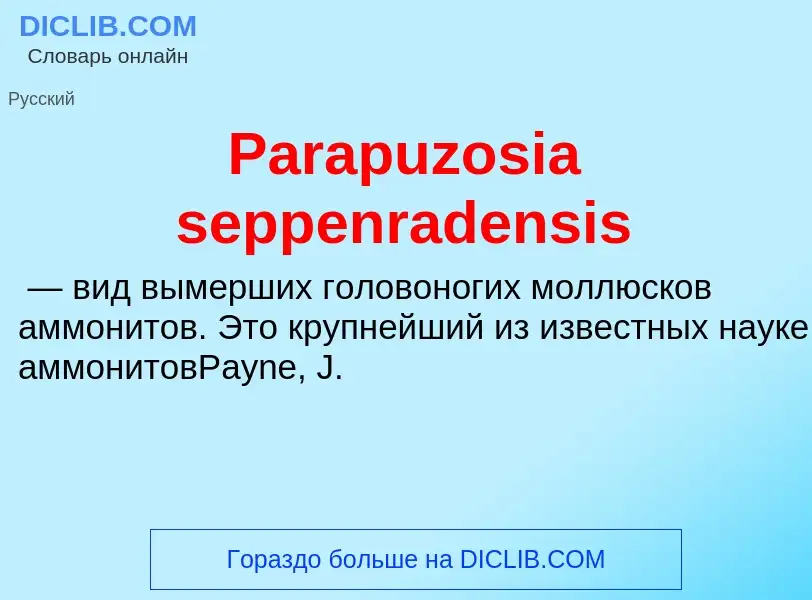 ¿Qué es Parapuzosia seppenradensis? - significado y definición