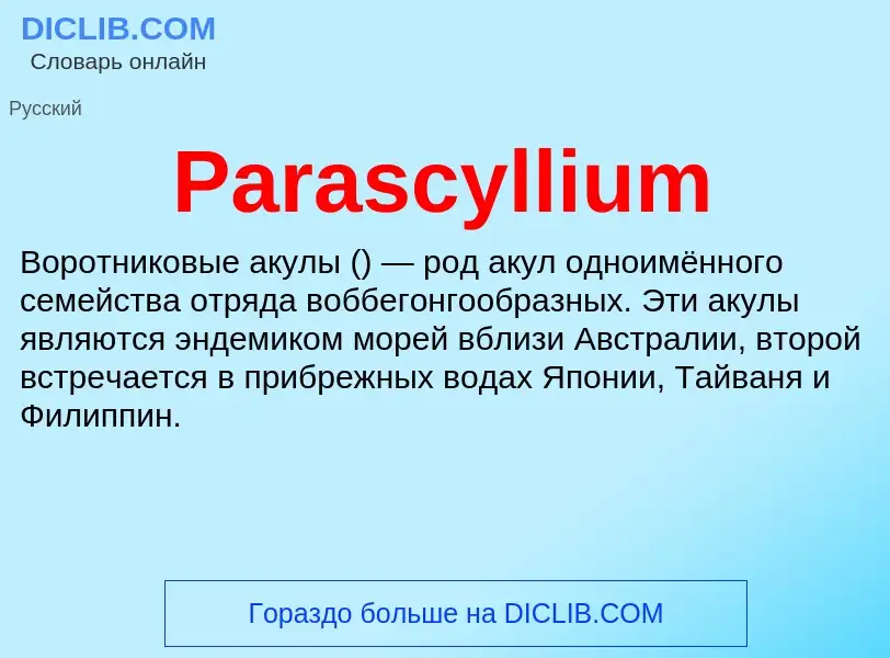 ¿Qué es Parascyllium? - significado y definición