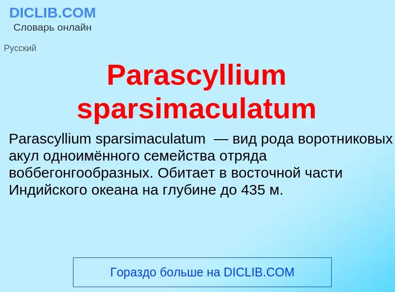 ¿Qué es Parascyllium sparsimaculatum? - significado y definición