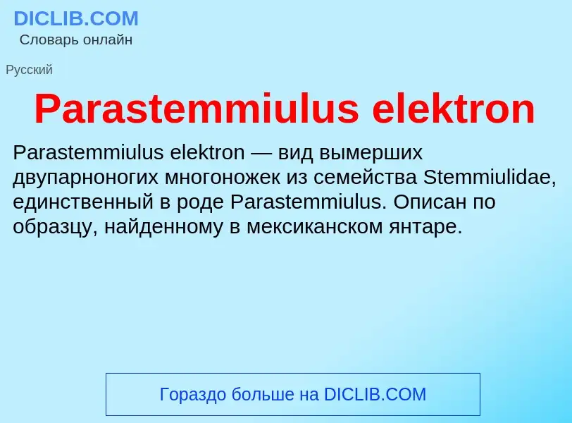 ¿Qué es Parastemmiulus elektron? - significado y definición