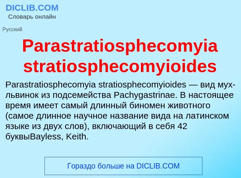 ¿Qué es Parastratiosphecomyia stratiosphecomyioides? - significado y definición