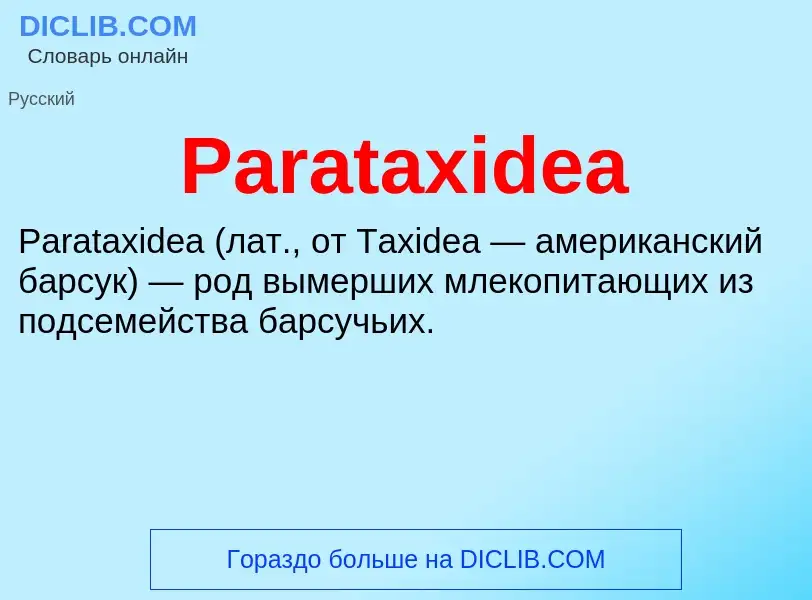 ¿Qué es Parataxidea? - significado y definición