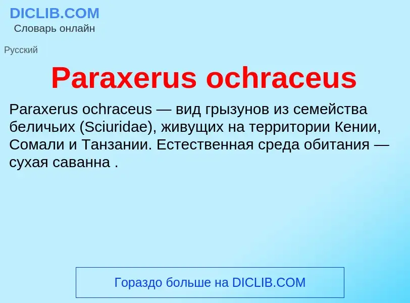 Что такое Paraxerus ochraceus - определение