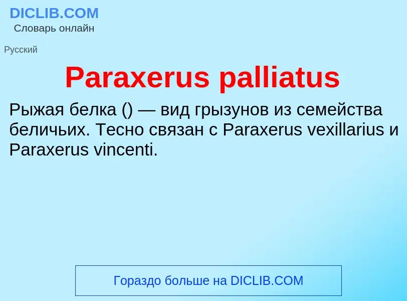 ¿Qué es Paraxerus palliatus? - significado y definición