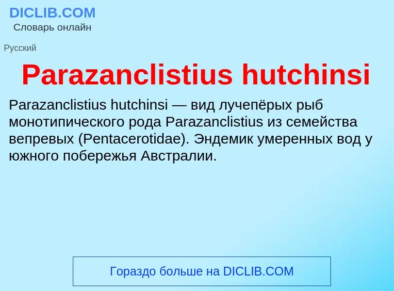 ¿Qué es Parazanclistius hutchinsi? - significado y definición