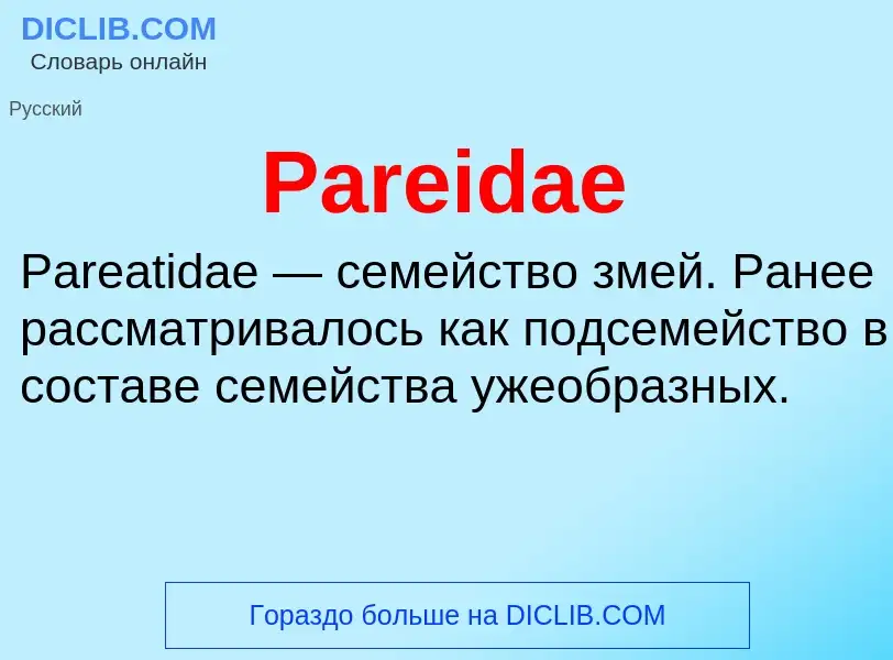 Что такое Pareidae - определение