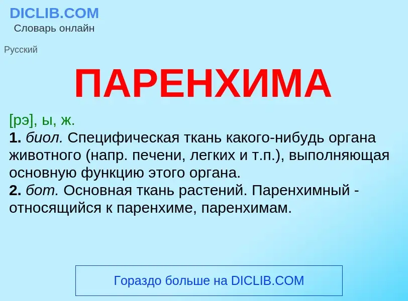 ¿Qué es ПАРЕНХИМА? - significado y definición