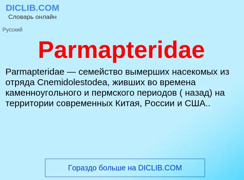 ¿Qué es Parmapteridae? - significado y definición