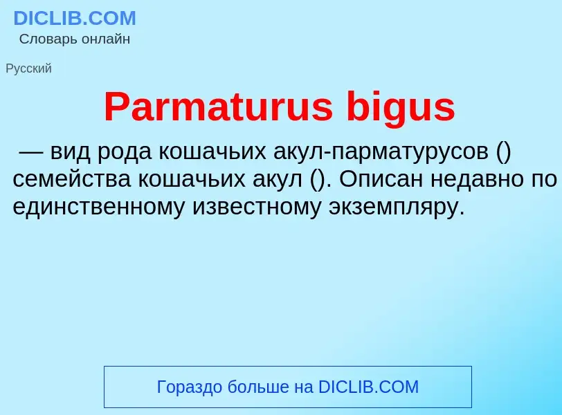 ¿Qué es Parmaturus bigus? - significado y definición