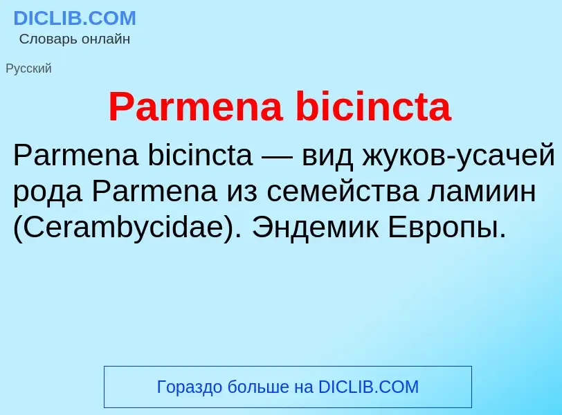 ¿Qué es Parmena bicincta? - significado y definición