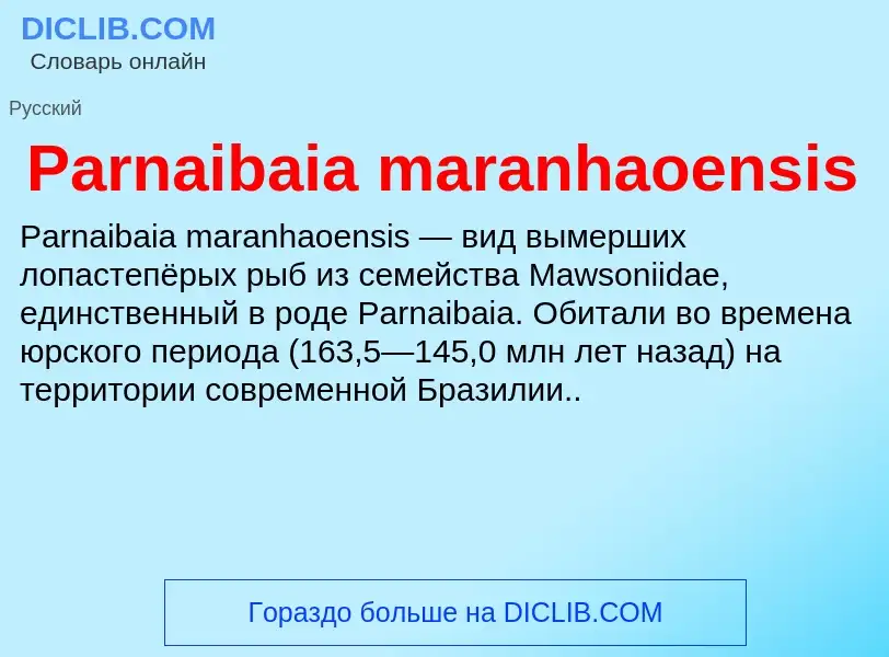 ¿Qué es Parnaibaia maranhaoensis? - significado y definición