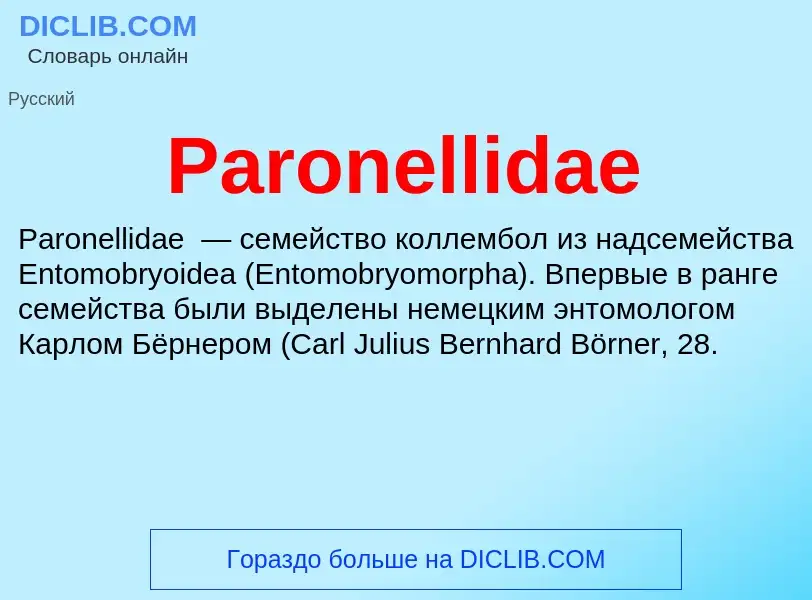 ¿Qué es Paronellidae? - significado y definición