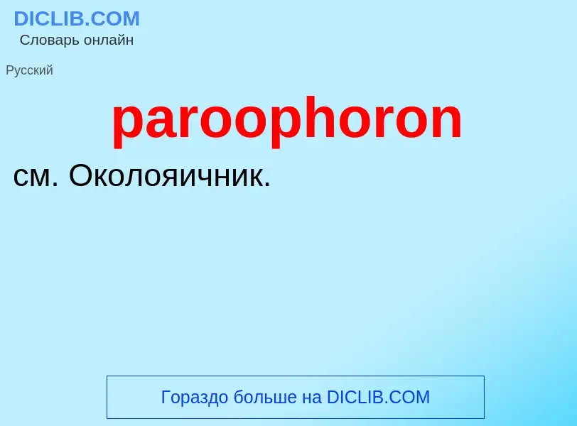 Τι είναι paroophoron - ορισμός