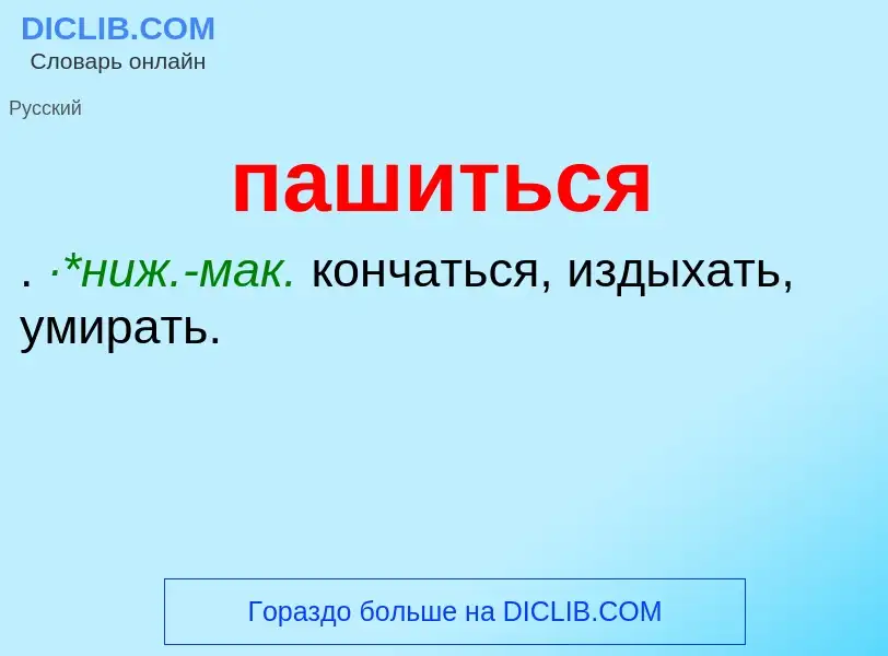 ¿Qué es пашиться? - significado y definición