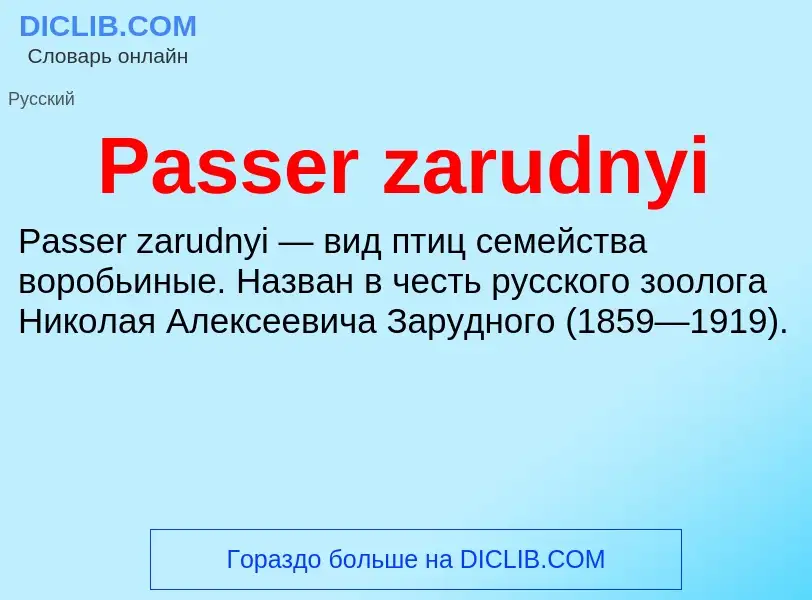 Что такое Passer zarudnyi - определение