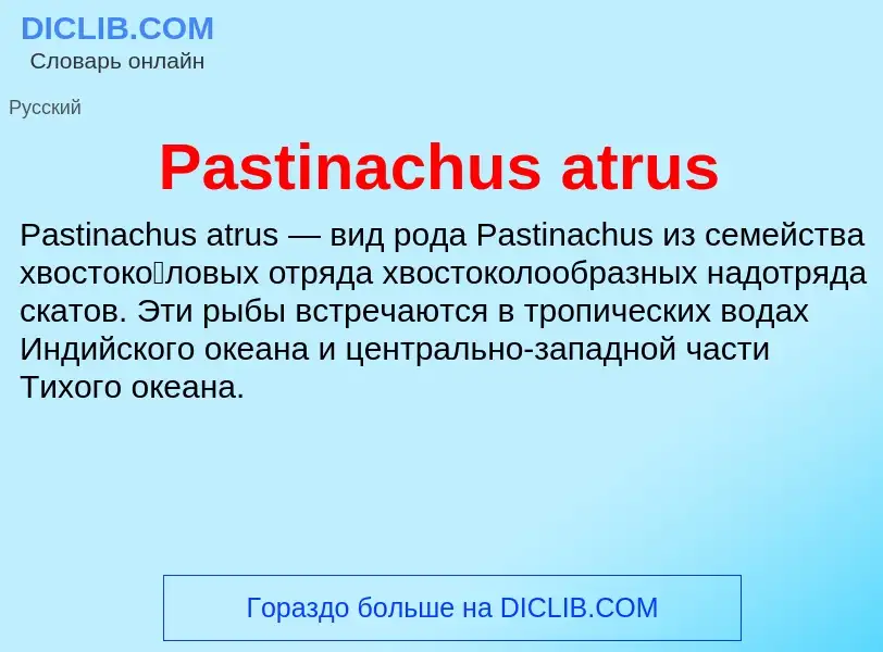 Что такое Pastinachus atrus - определение