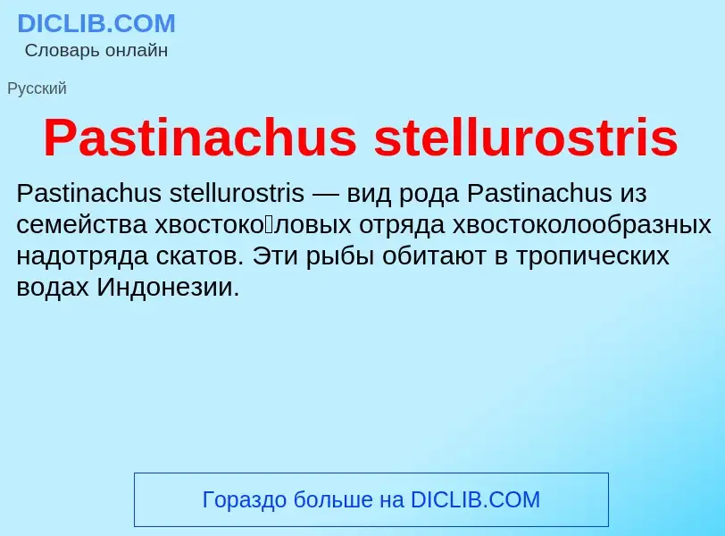 Что такое Pastinachus stellurostris - определение